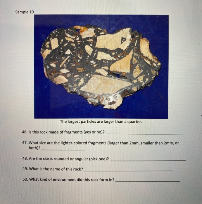 Solved Sample 9. This rock reacts with acid and can be