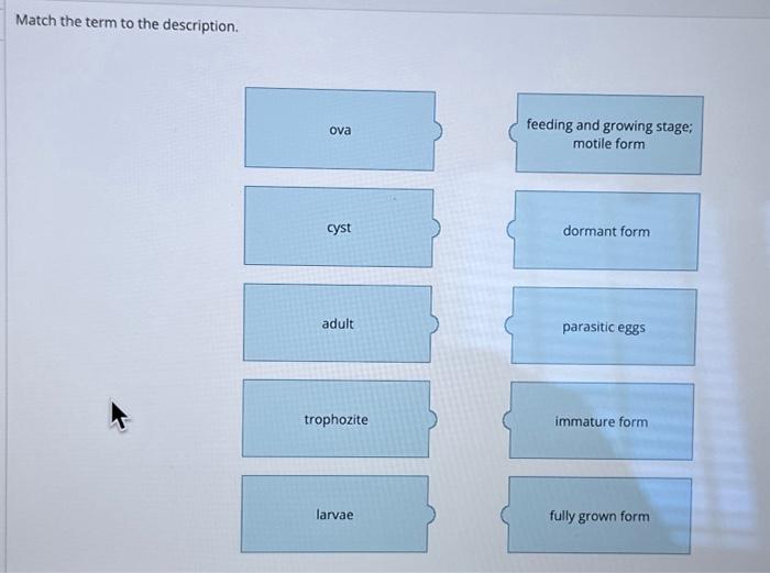 Solved Match the term to the description. Match the | Chegg.com