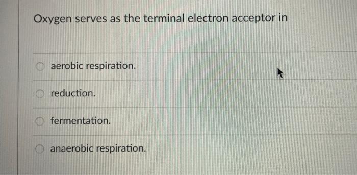 Solved Biosynthetic reactions that require energy for the | Chegg.com