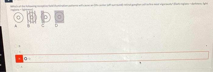 Solved B. C D | Chegg.com