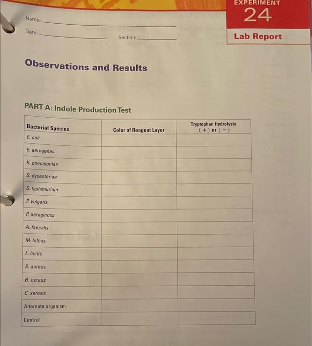 Solved EXPERIMENT 24 Name: Date Section Lab Report | Chegg.com