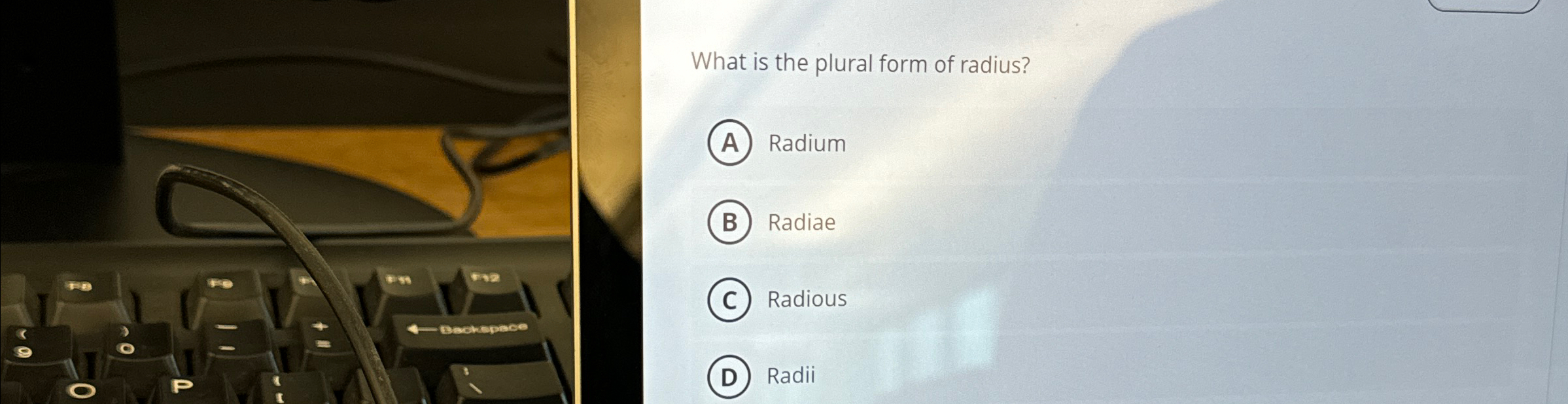 Solved What is the plural form of