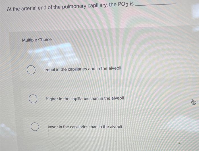 Pulmonary Capillaries The Untold Story Of The Arterial End - 5hcrc69