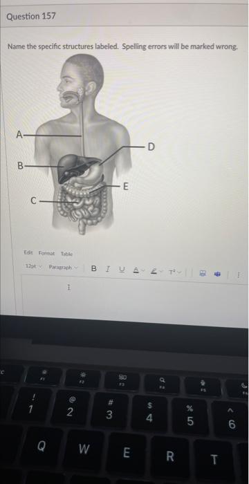 Solved Name the specific structures labeled. Spelling errors | Chegg.com