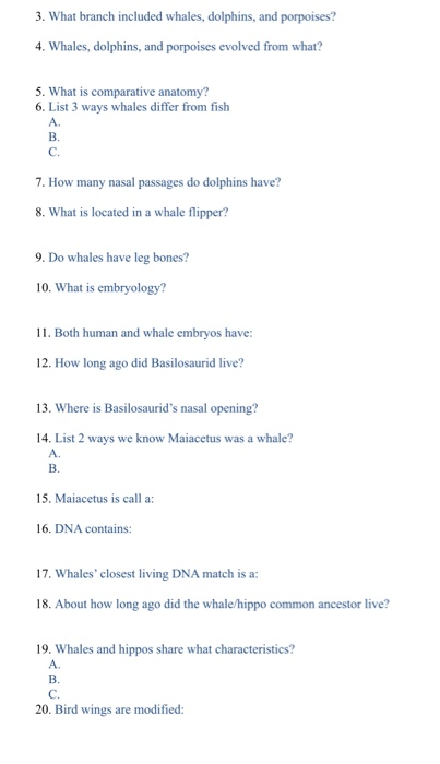 The theory of evolution worksheet answers