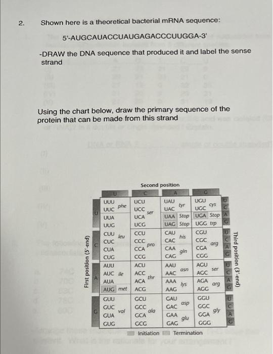 Solved 2. Shown here is a theoretical bacterial mRNA | Chegg.com