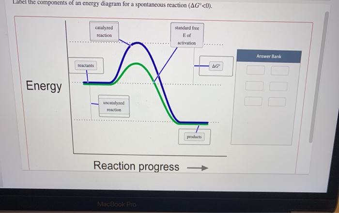 Solved Label The Components Of An Energy Diagram For A