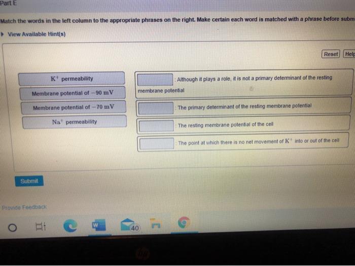 solved-part-e-match-the-words-in-the-left-column-to-the-chegg