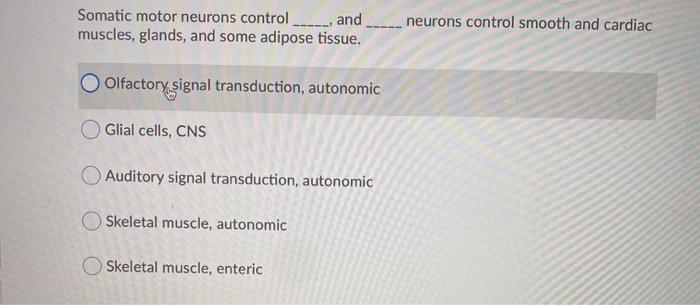 Solved Somatic motor neurons control _____, and muscles, | Chegg.com