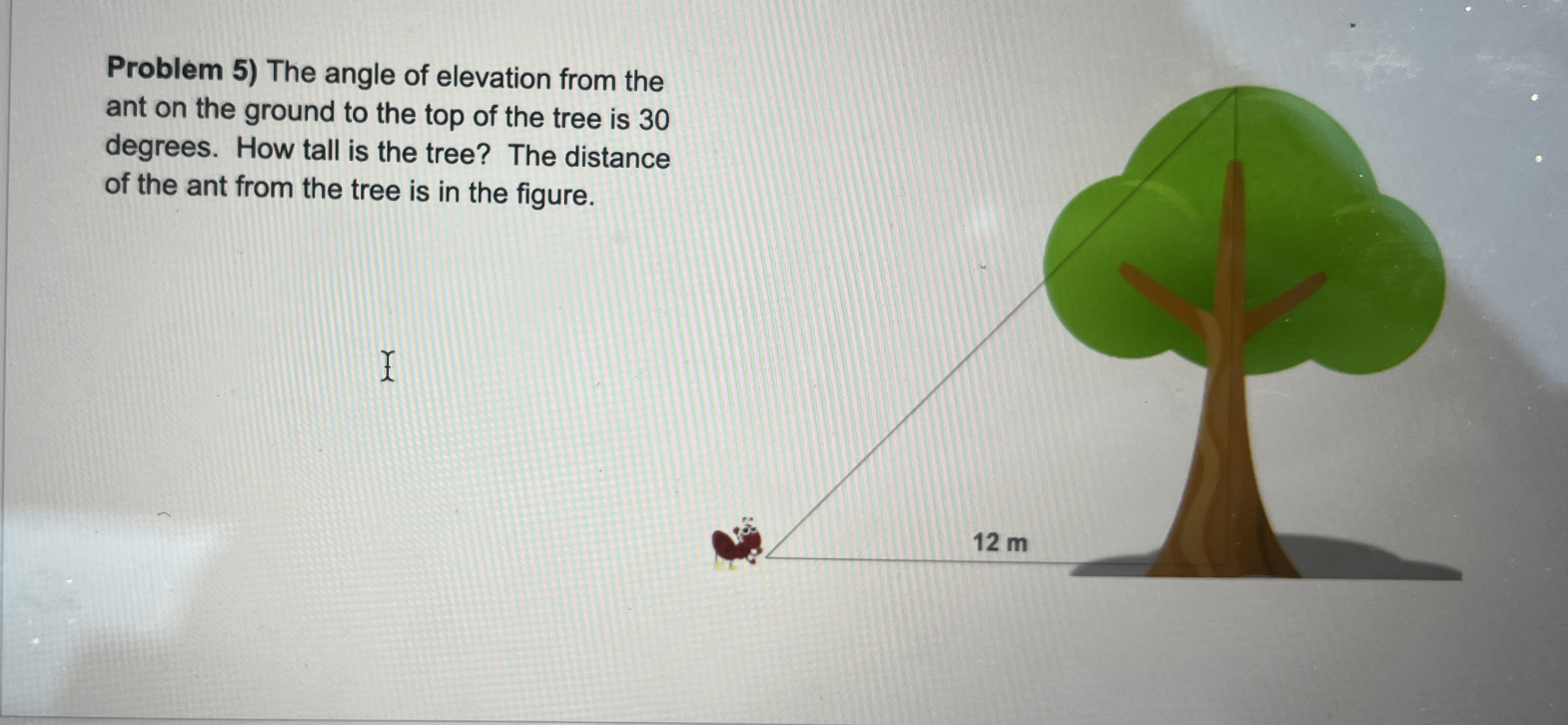 Solved Problem 5) ﻿The angle of elevation from the ant on | Chegg.com