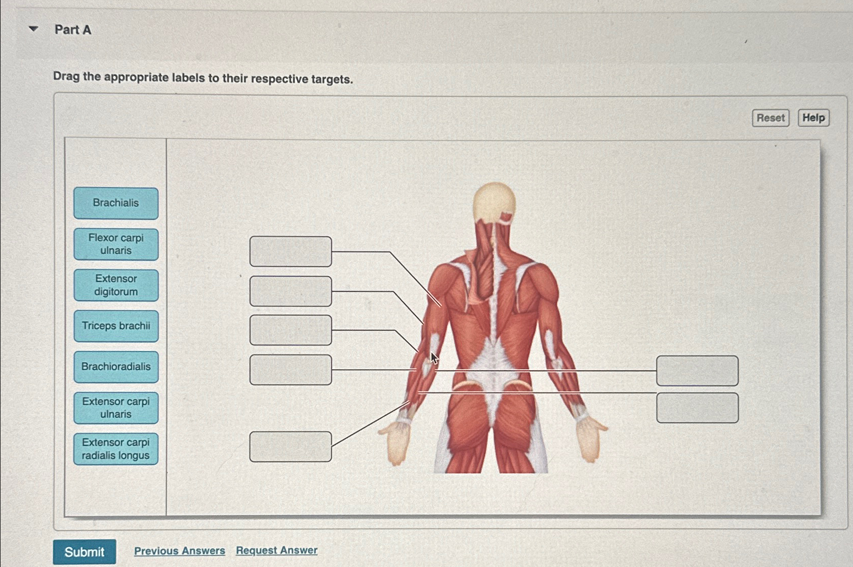 Solved Part ADrag the appropriate labels to their respective | Chegg.com