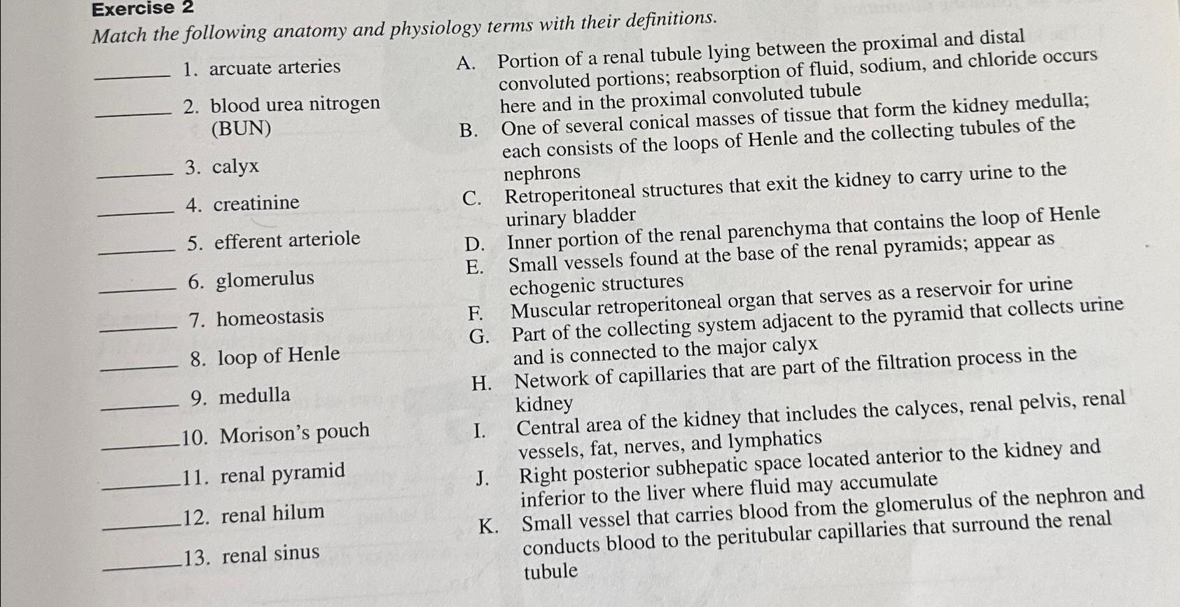 Solved Exercise 2Match The Following Anatomy And Physiology | Chegg.com