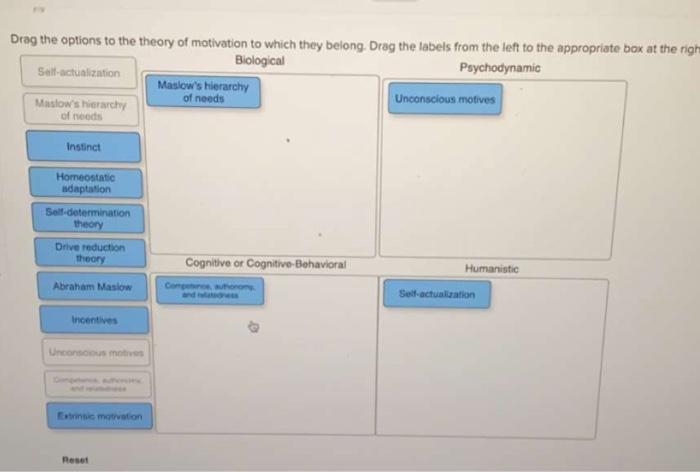 Solved Drag the options to the theory of motivation to which | Chegg.com