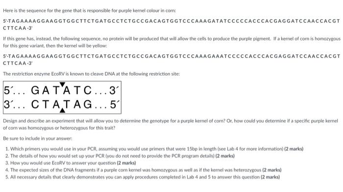 Solved Here is the sequence for the gene that is responsible | Chegg.com