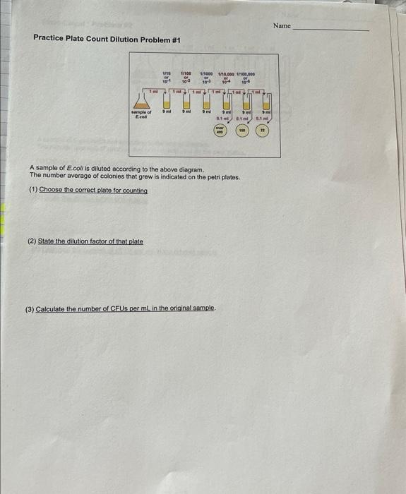 Solved Practice Plate Count Dilution Problem \#1 A sample of | Chegg.com