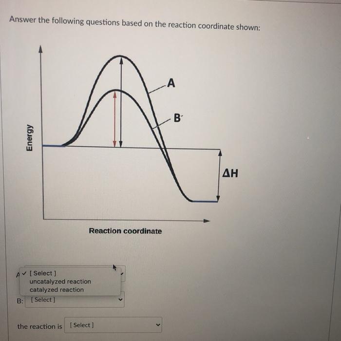 Solved Answer the following questions based on the reaction | Chegg.com