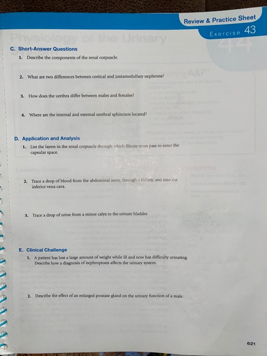 Solved Review Practice Sheet Exercise 43 C. Short Answer Chegg