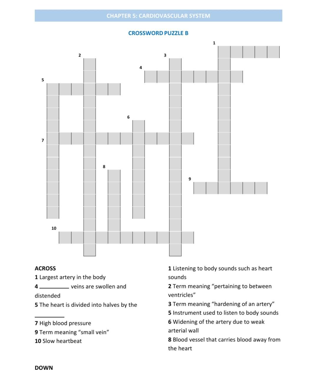 Solved CHAPTER 5: CARDIOVASCULAR SYSTEM CROSSWORD PUZZLE B 2 Chegg com