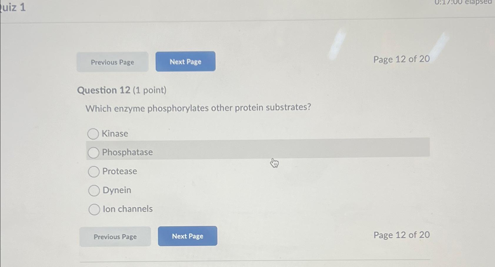 Solved uiz 1Page 12 ﻿of 20Question 12 (1 ﻿point)Which enzyme | Chegg.com