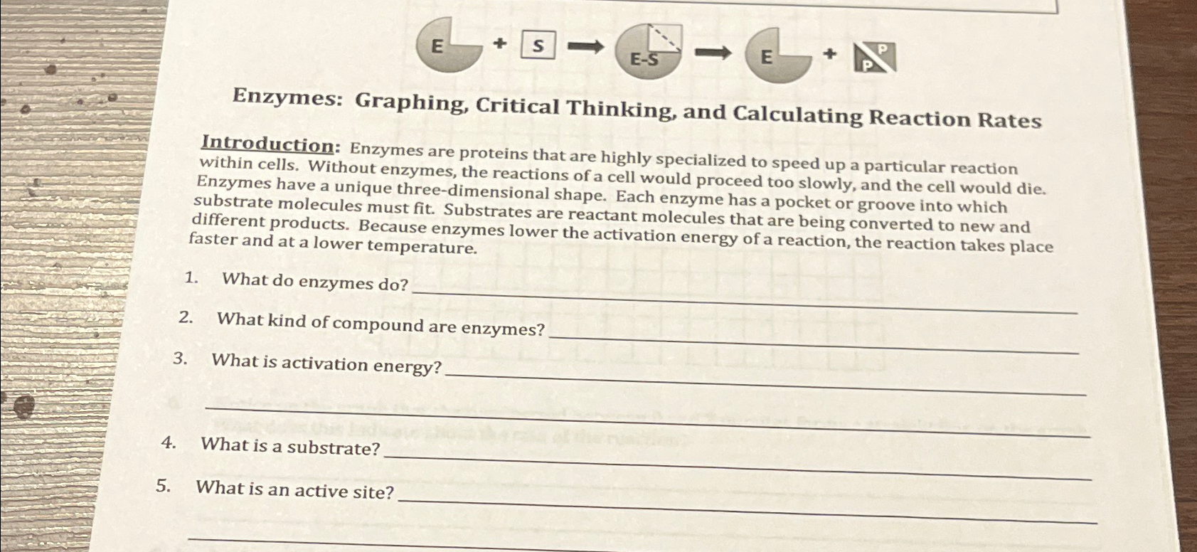 Solved Enzymes. wapung, critical Thinking, and Calculating