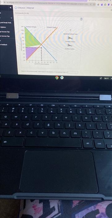 Solved based on the previous graph total surplus in the | Chegg.com