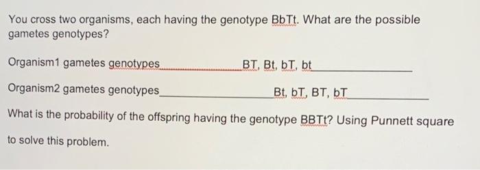 Solved You cross two organisms, each having the genotype | Chegg.com