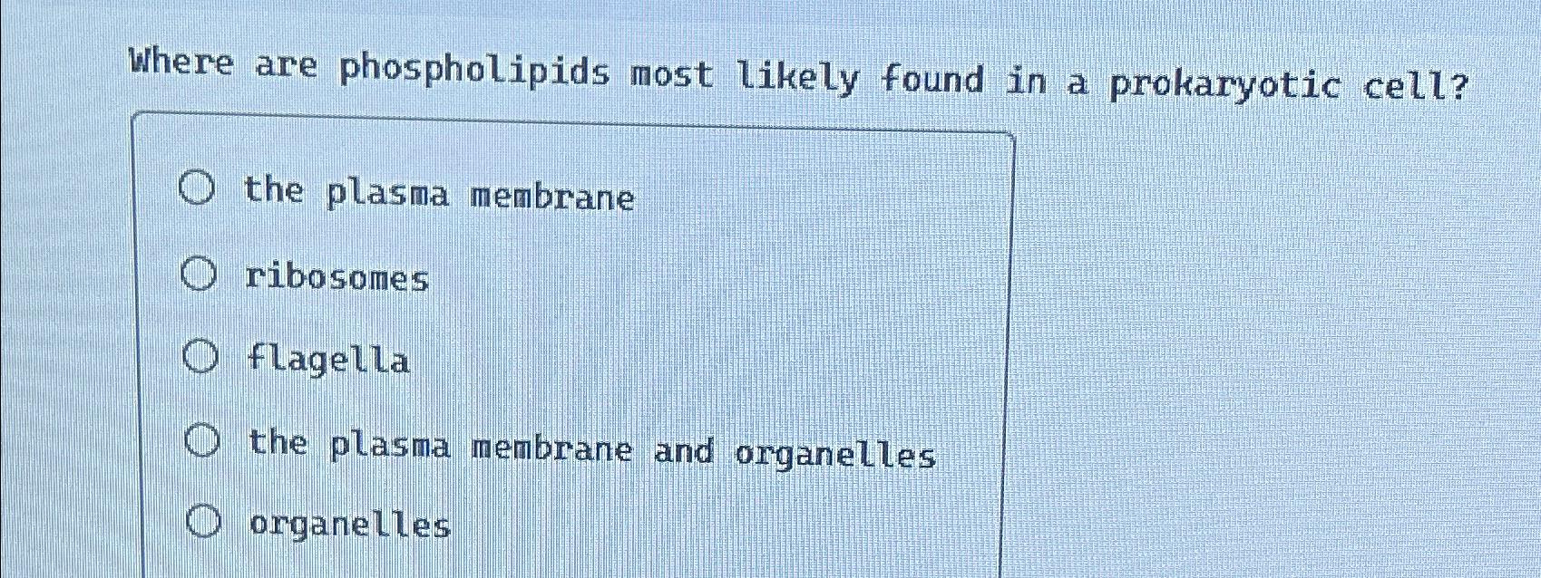 Solved Where are phospholipids most likely found in a