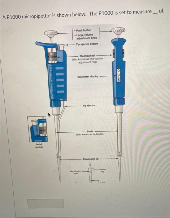 A P1000 micropipettor is shown below. The P1000 is set to measure ul.