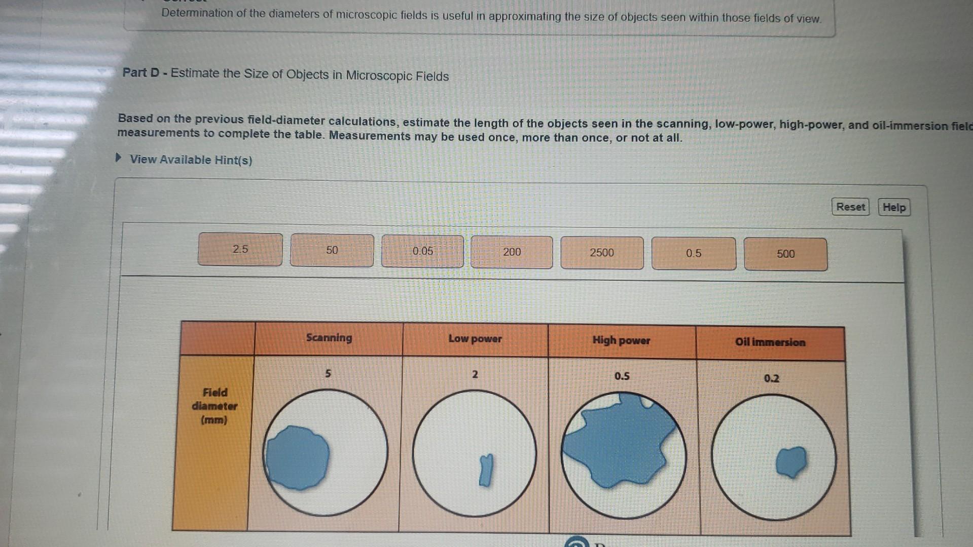 Estimate the length of the objects in the scanning