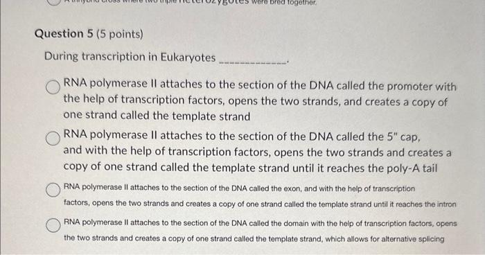 During transcription in Eukaryotes
RNA polymerase II attaches to the section of the DNA called the promoter with the help of 