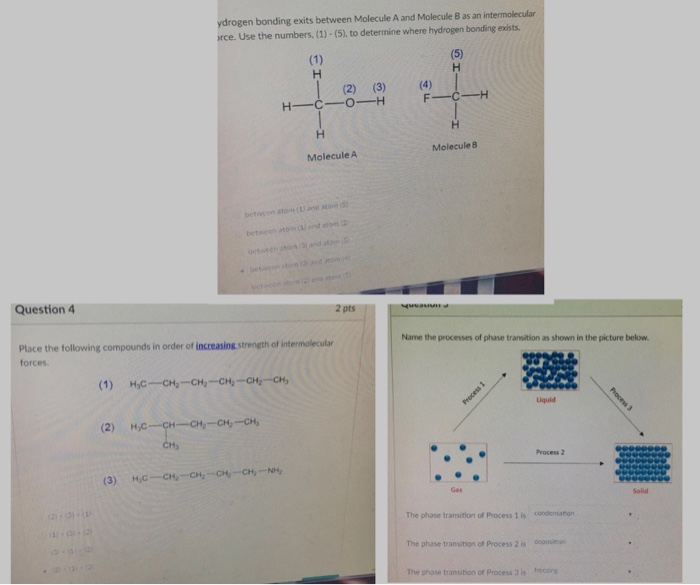 Solved Ydrogen Bonding Exits Between Molecule A And Molecule