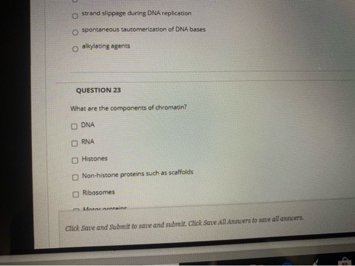 Solved strand slippage during DNA replication o spontaneous