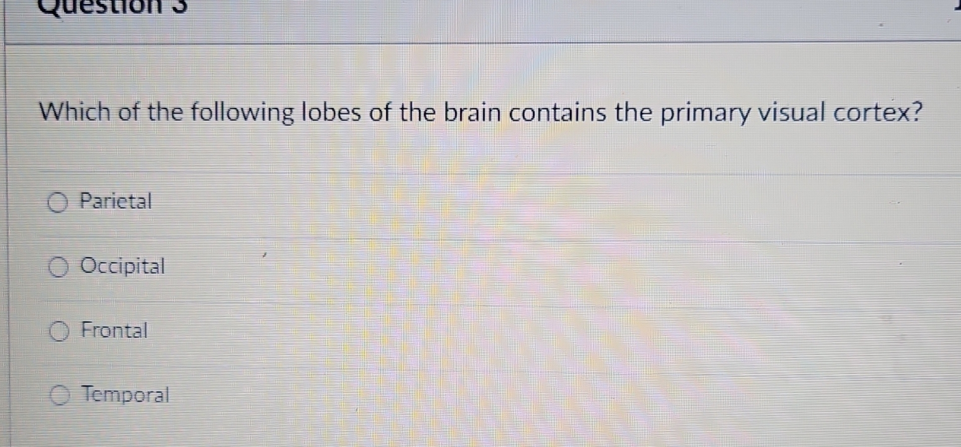 Solved Which of the following lobes of the brain contains | Chegg.com