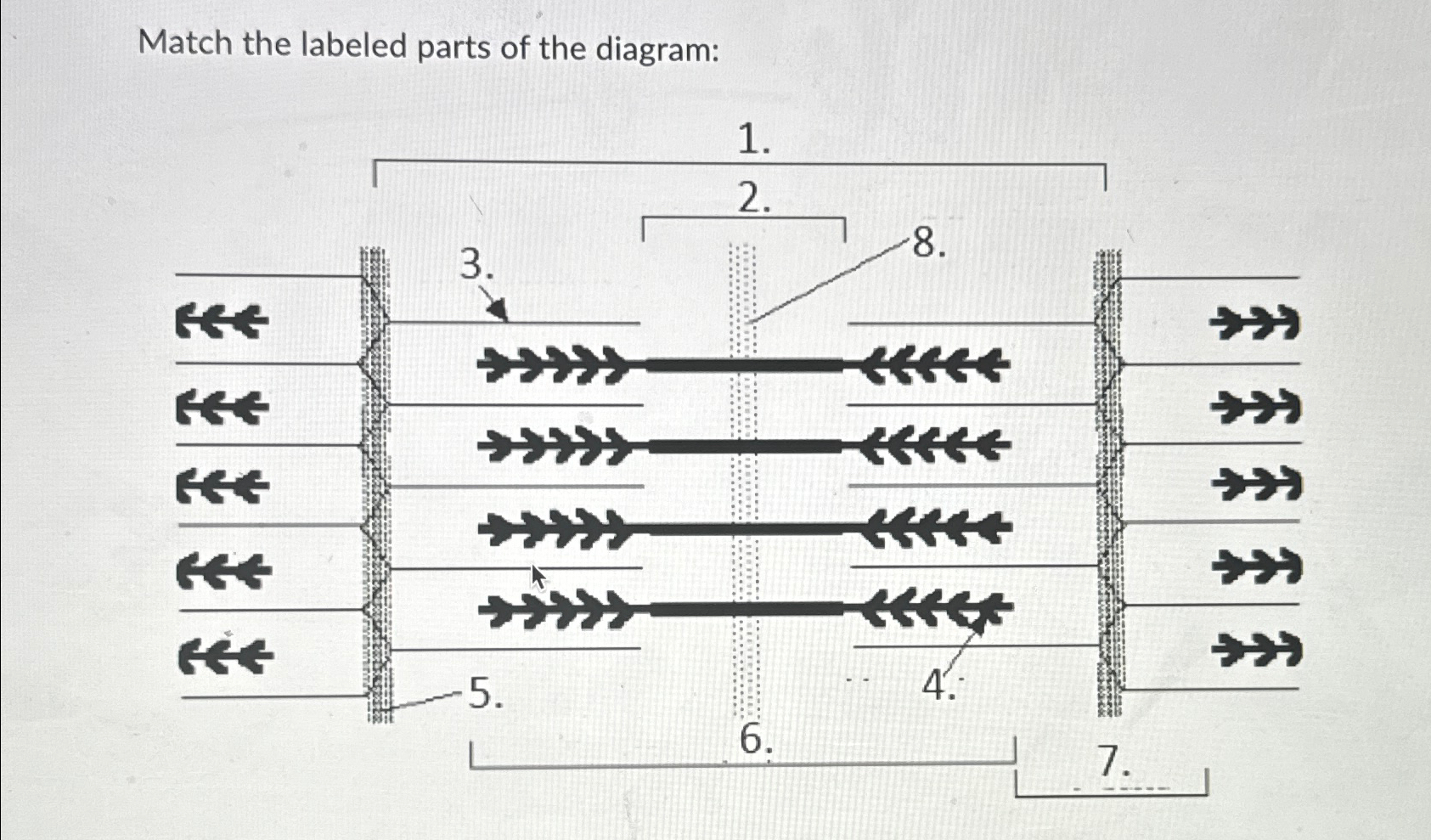 Solved Match the labeled parts of the diagram: | Chegg.com