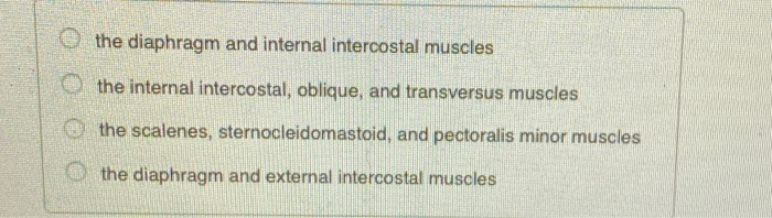 Solved Which Muscles Are Activated During Forced Expiration? | Chegg.com Solved Which Muscles Are Activated During Forced Expiration? | Chegg.com