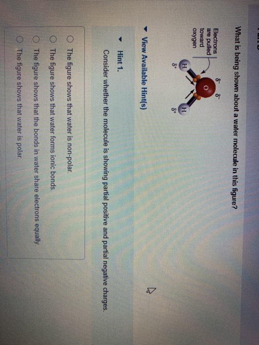 Solved What is being shown about a water molecule in this | Chegg.com