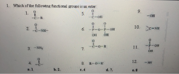Solved 1 Which Of The Following Functional Groups Is An Chegg Com