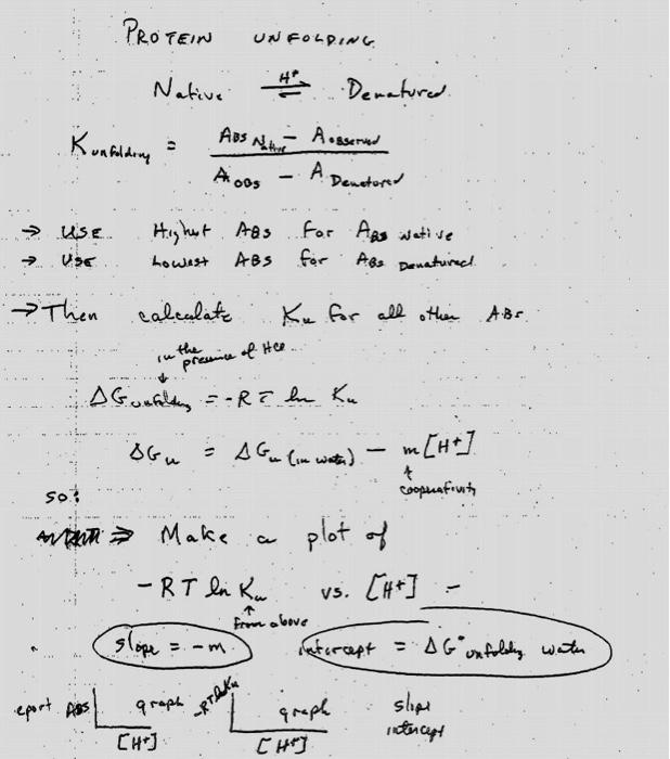 Solved NOTES FOR PROTEIN DENATURATION LAB Temperature in