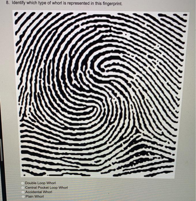 types of whorl fingerprints