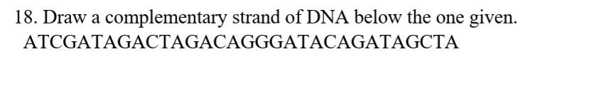 Solved 18. Draw a complementary strand of DNA below the one | Chegg.com