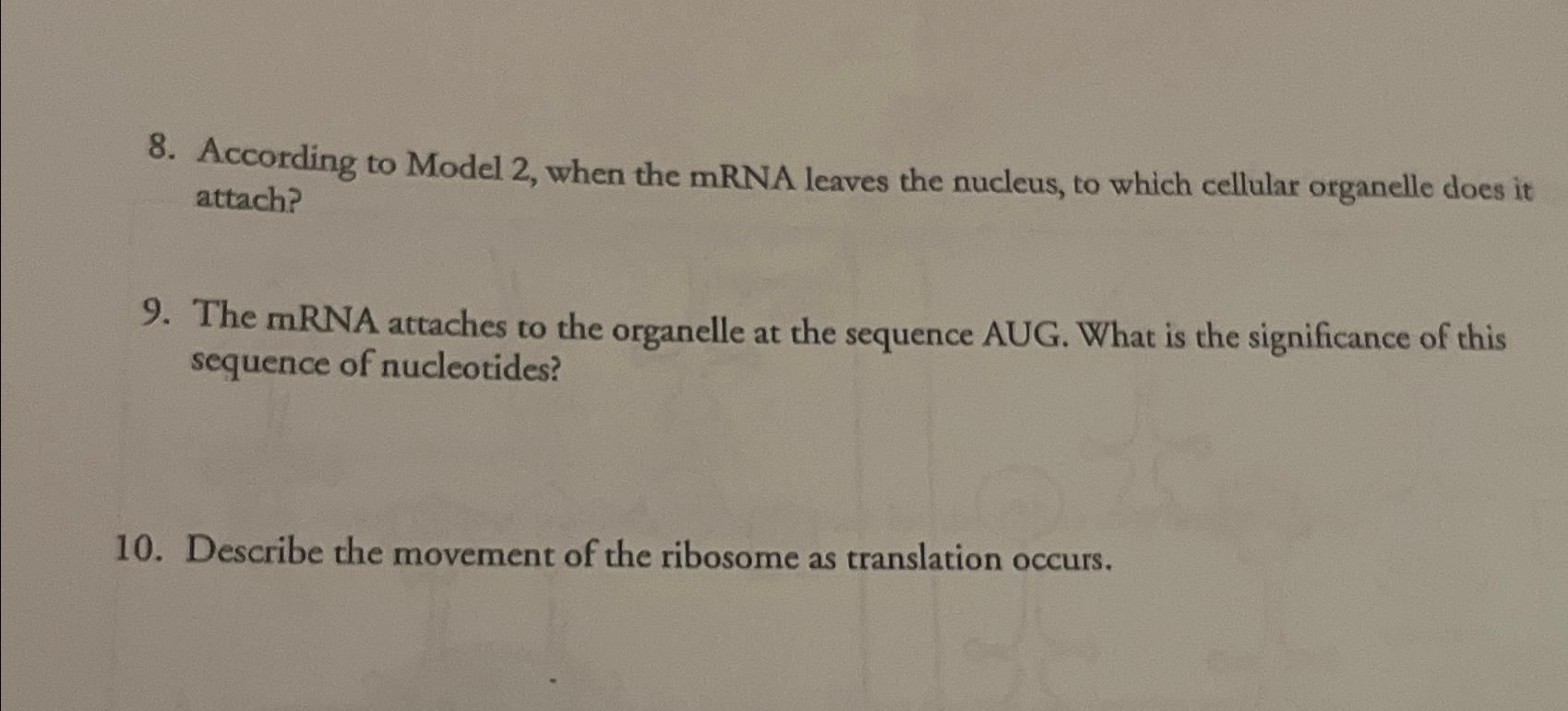 Solved According to Model 2, ﻿when the mRNA leaves the | Chegg.com