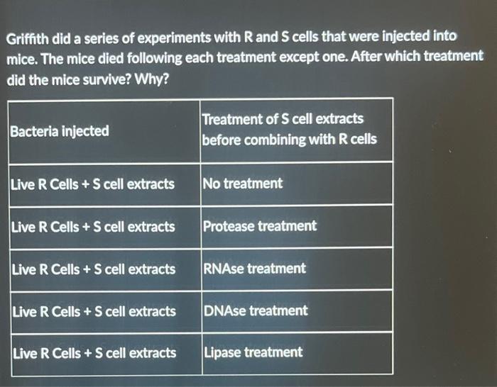 in griffith experiment mice died when injected with