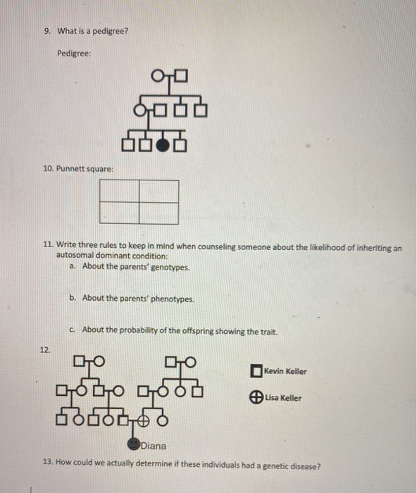Bloodline: a human genetics case answer key picture