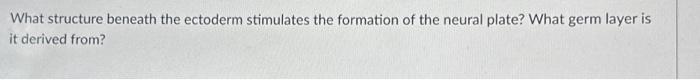 Solved What structure beneath the ectoderm stimulates the | Chegg.com