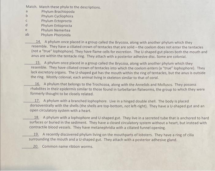 Solved Match. Match these phyla to the descriptions. a b | Chegg.com