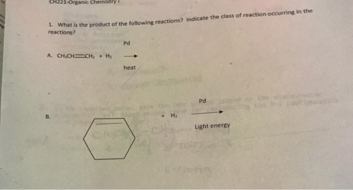 Solved CH221-Organic Chemistry 1 What is the product of the | Chegg.com