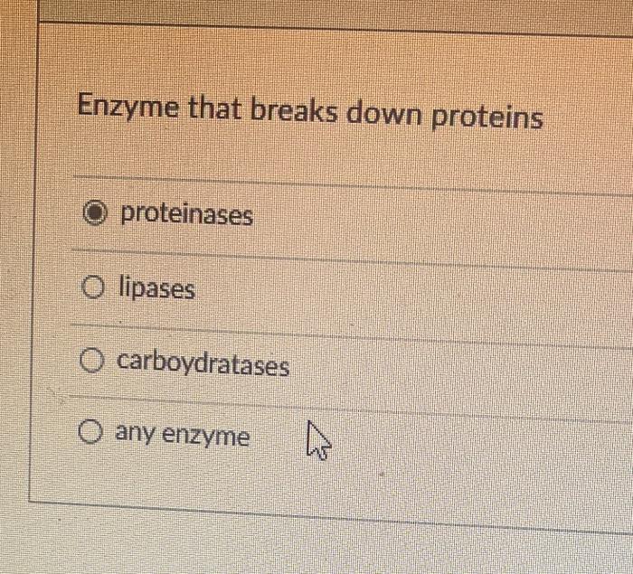Solved Enzyme that breaks down proteins proteinases lipases