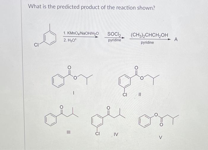 Solved What is the predicted product of the reaction shown? | Chegg.com