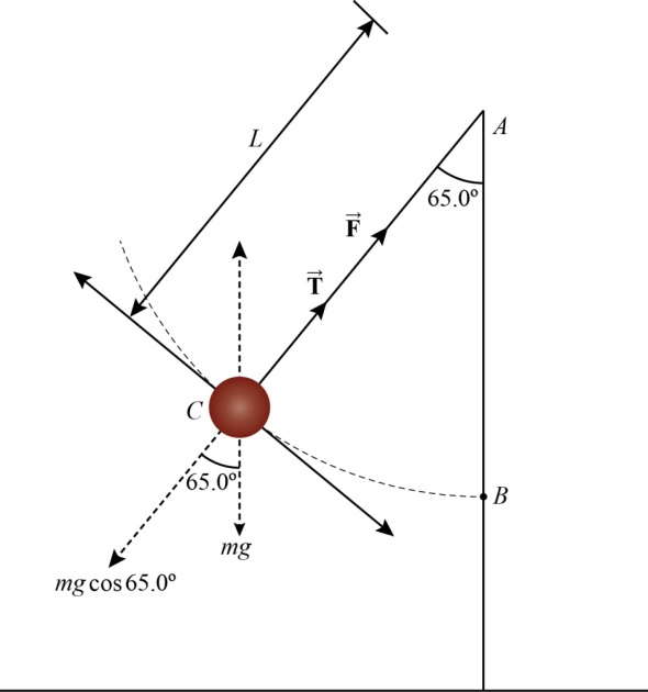 Solved A tetherball set has a ball with mass 0.411kg and a nyl