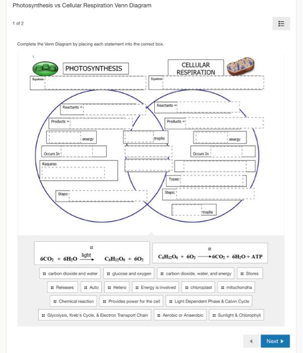 Solved Photosynthesis vs Cellular Respiration Venn Diagram 1